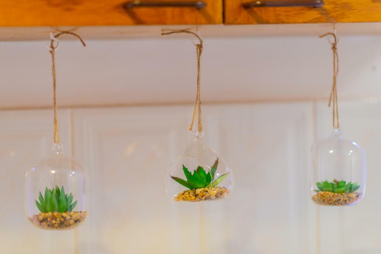 شقة Pine House براشوف المظهر الخارجي الصورة